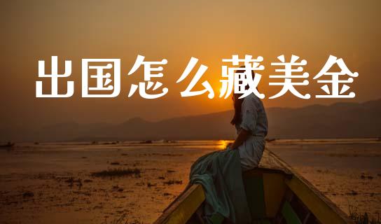 出国怎么藏美金_https://wap.sdyuehang.cn_美股行情_第1张