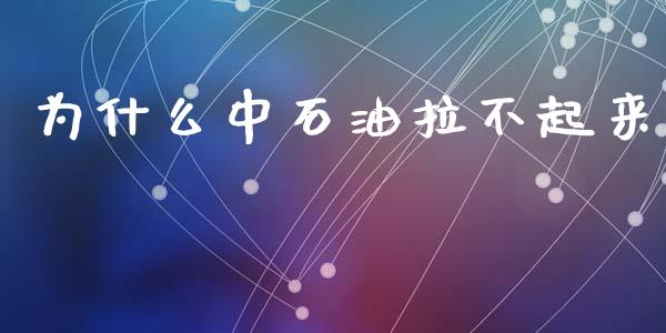 为什么中石油拉不起来_https://wap.sdyuehang.cn_债券资讯_第1张
