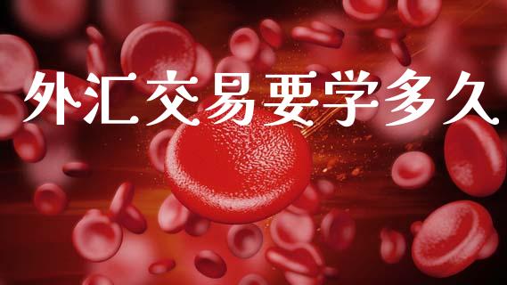 外汇交易要学多久_https://wap.sdyuehang.cn_产经新闻_第1张