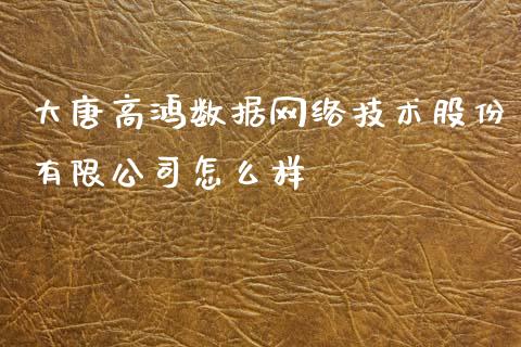 大唐高鸿数据网络技术股份有限公司怎么样_https://wap.sdyuehang.cn_债券资讯_第1张