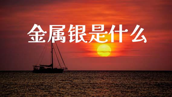 金属银是什么_https://wap.sdyuehang.cn_债券资讯_第1张