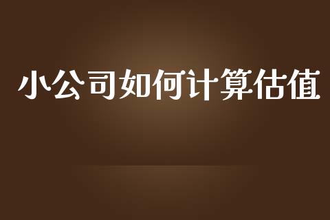 小公司如何计算估值_https://wap.sdyuehang.cn_债券资讯_第1张