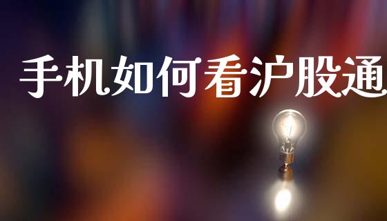 手机如何看沪股通_https://wap.sdyuehang.cn_产经新闻_第1张