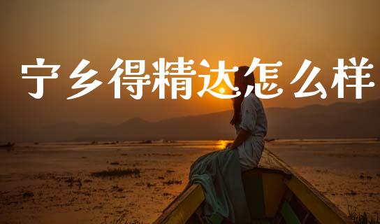 宁乡得精达怎么样_https://wap.sdyuehang.cn_新股申购_第1张