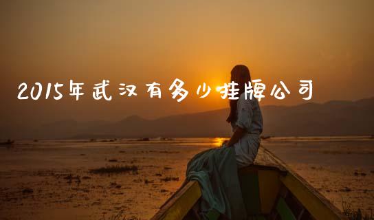 2015年武汉有多少挂牌公司_https://wap.sdyuehang.cn_债券资讯_第1张