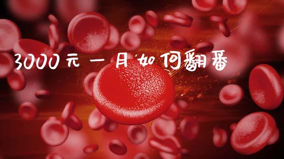 3000元一月如何翻番_https://wap.sdyuehang.cn_美股行情_第1张