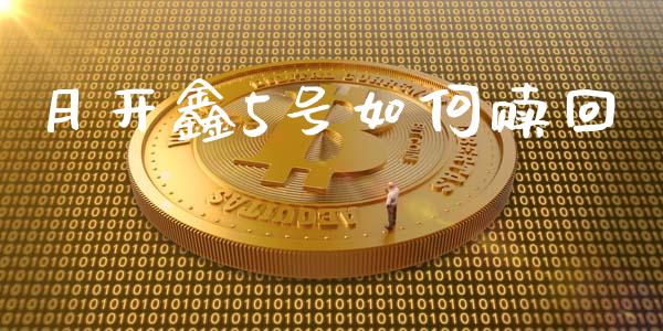 月开鑫5号如何赎回_https://wap.sdyuehang.cn_新股申购_第1张