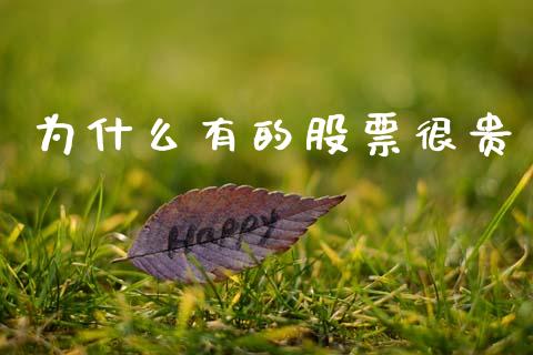 为什么有的股票很贵_https://wap.sdyuehang.cn_产经新闻_第1张