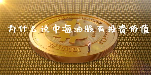 为什么说中海油服有投资价值_https://wap.sdyuehang.cn_美股行情_第1张