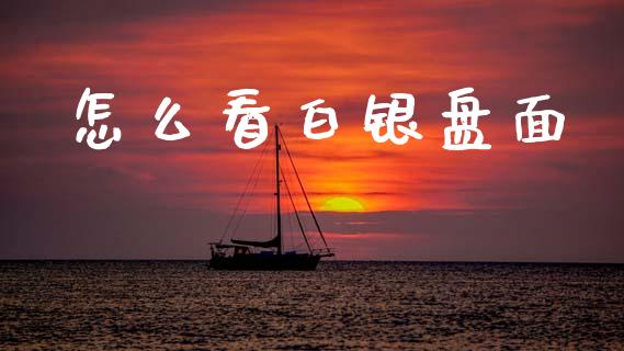 怎么看白银盘面_https://wap.sdyuehang.cn_债券资讯_第1张