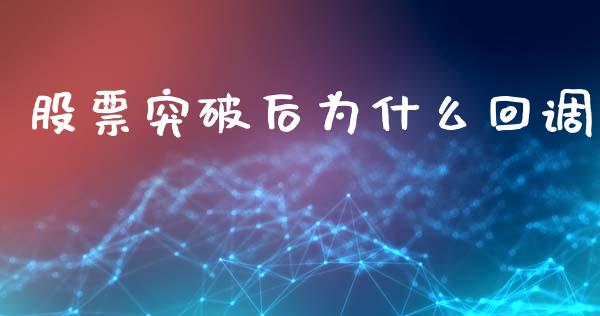 股票突破后为什么回调_https://wap.sdyuehang.cn_债券资讯_第1张