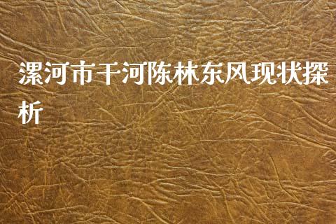 漯河市干河陈林东风现状探析_https://wap.sdyuehang.cn_债券资讯_第1张