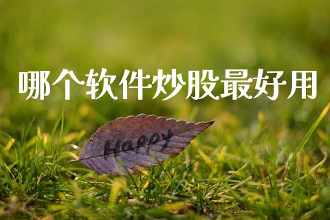 哪个软件炒股最好用_https://wap.sdyuehang.cn_产经新闻_第1张