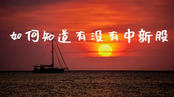 如何知道有没有中新股_https://wap.sdyuehang.cn_产经新闻_第1张