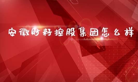 安徽财籽控股集团怎么样_https://wap.sdyuehang.cn_债券资讯_第1张