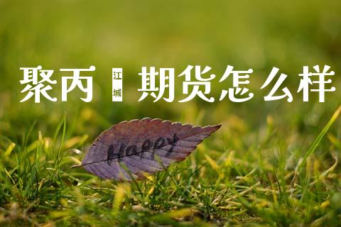 聚丙烯期货怎么样_https://wap.sdyuehang.cn_美股行情_第1张