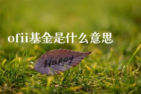 ofii基金是什么意思_https://wap.sdyuehang.cn_新股申购_第1张