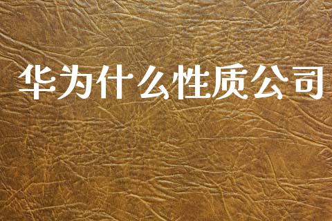 华为什么性质公司_https://wap.sdyuehang.cn_美股行情_第1张