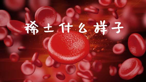 稀土什么样子_https://wap.sdyuehang.cn_债券资讯_第1张