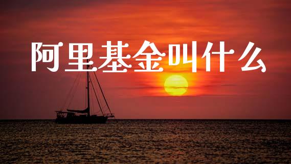 阿里基金叫什么_https://wap.sdyuehang.cn_债券资讯_第1张
