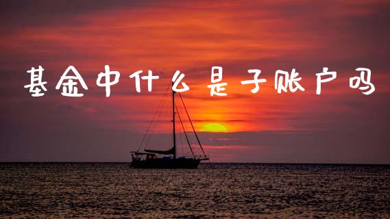 基金中什么是子账户吗_https://wap.sdyuehang.cn_债券资讯_第1张