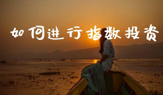 如何进行指数投资_https://wap.sdyuehang.cn_债券资讯_第1张