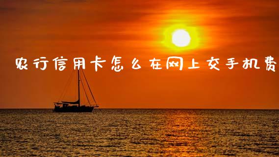 农行信用卡怎么在网上交手机费_https://wap.sdyuehang.cn_美股行情_第1张