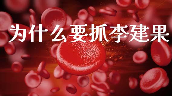 为什么要抓李建果_https://wap.sdyuehang.cn_产经新闻_第1张