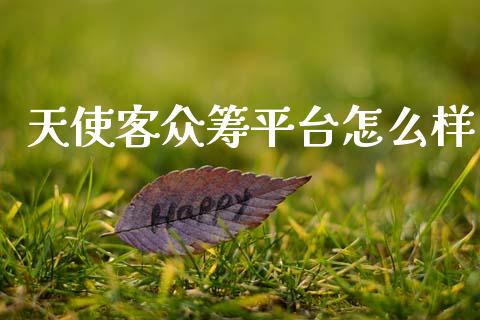 天使客众筹平台怎么样_https://wap.sdyuehang.cn_美股行情_第1张