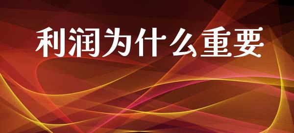 利润为什么重要_https://wap.sdyuehang.cn_美股行情_第1张