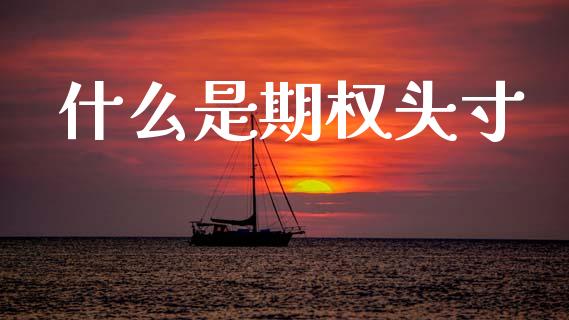 什么是期权头寸_https://wap.sdyuehang.cn_产经新闻_第1张