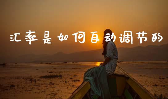 汇率是如何自动调节的_https://wap.sdyuehang.cn_产经新闻_第1张