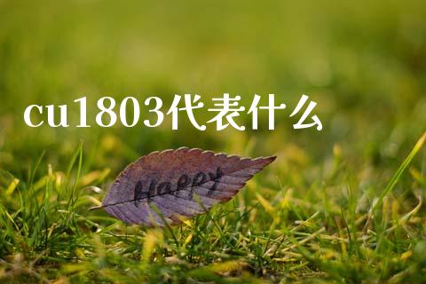 cu1803代表什么_https://wap.sdyuehang.cn_债券资讯_第1张