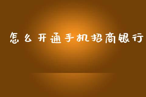 怎么开通手机招商银行_https://wap.sdyuehang.cn_产经新闻_第1张