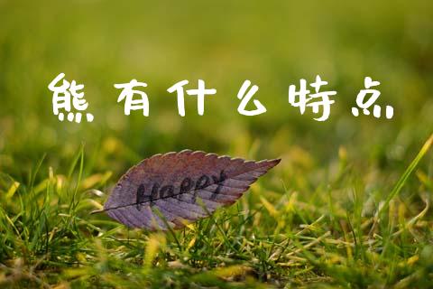 熊有什么特点_https://wap.sdyuehang.cn_债券资讯_第1张