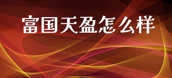 富国天盈怎么样_https://wap.sdyuehang.cn_新股申购_第1张