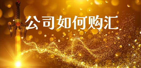 公司如何购汇_https://wap.sdyuehang.cn_美股行情_第1张