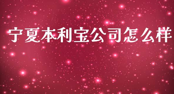 宁夏本利宝公司怎么样_https://wap.sdyuehang.cn_债券资讯_第1张