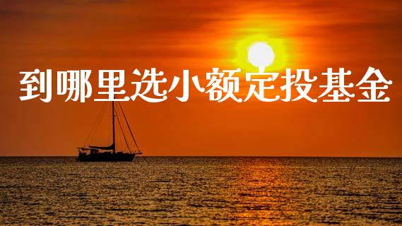 到哪里选小额定投基金_https://wap.sdyuehang.cn_美股行情_第1张