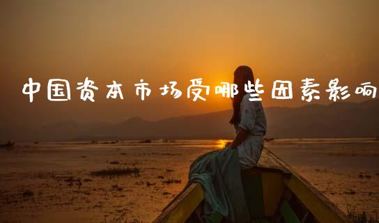 中国资本市场受哪些因素影响_https://wap.sdyuehang.cn_新股申购_第1张