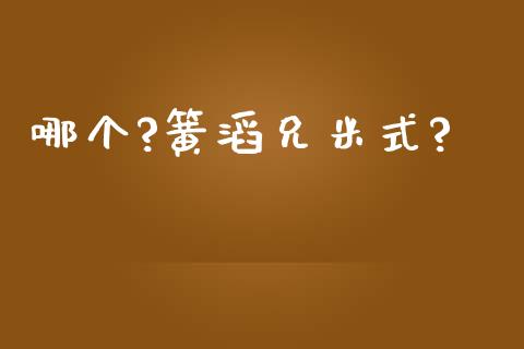 哪个?簧滔兄米式?_https://wap.sdyuehang.cn_新股申购_第1张