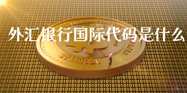 外汇银行国际代码是什么_https://wap.sdyuehang.cn_债券资讯_第1张