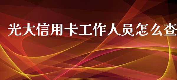 光大信用卡工作人员怎么查_https://wap.sdyuehang.cn_美股行情_第1张
