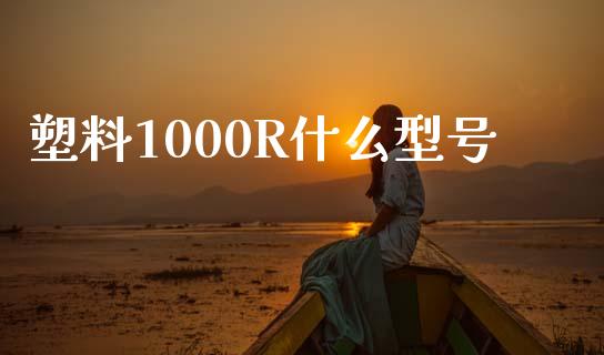塑料1000R什么型号_https://wap.sdyuehang.cn_美股行情_第1张
