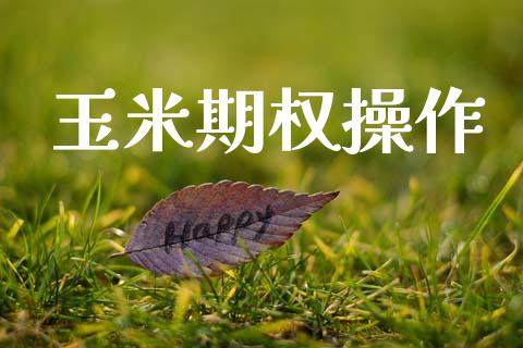 玉米期权操作_https://wap.sdyuehang.cn_新股申购_第1张