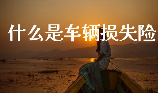 什么是车辆损失险_https://wap.sdyuehang.cn_债券资讯_第1张