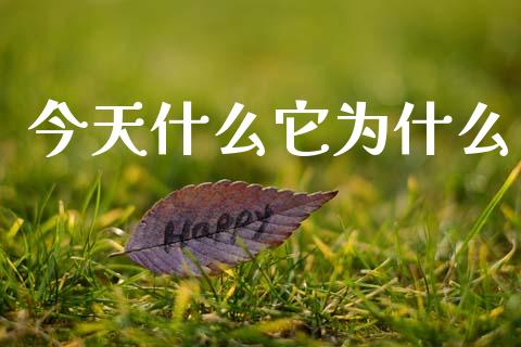 今天什么它为什么_https://wap.sdyuehang.cn_债券资讯_第1张