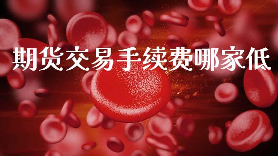 期货交易手续费哪家低_https://wap.sdyuehang.cn_美股行情_第1张