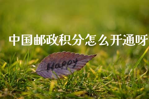 中国邮政积分怎么开通呀_https://wap.sdyuehang.cn_债券资讯_第1张