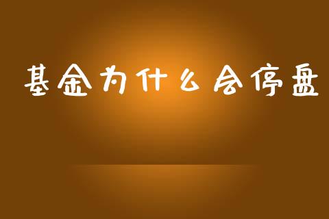 基金为什么会停盘_https://wap.sdyuehang.cn_产经新闻_第1张